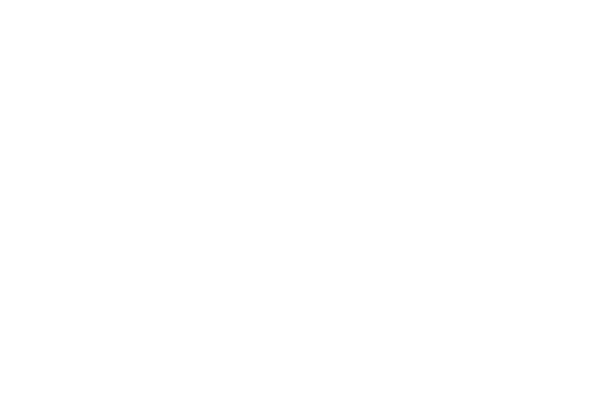 dm